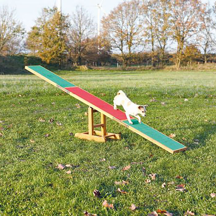 Balancé Agility - Trixie