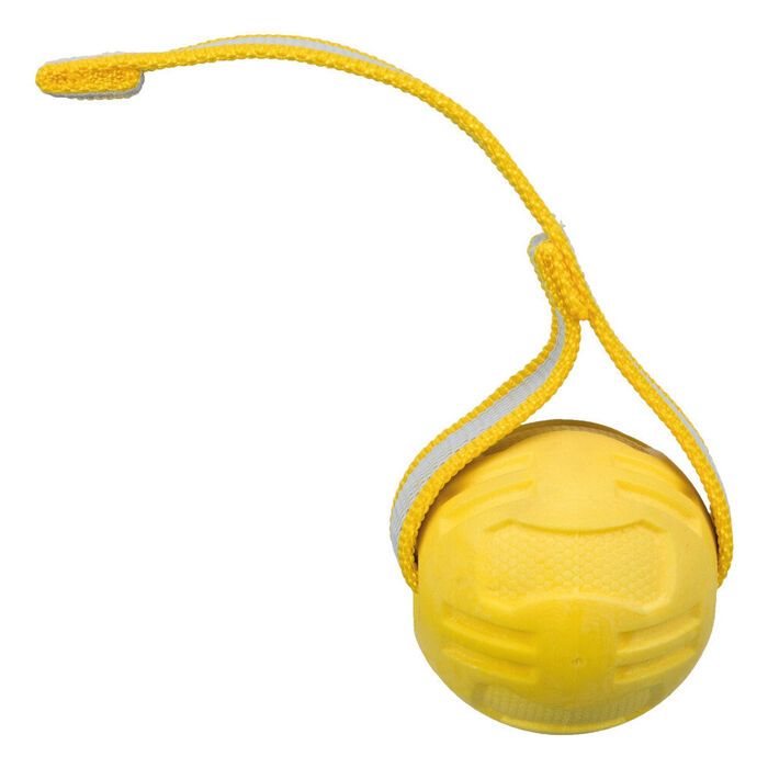 Bola em Borracha TPR com Pega - Trixie