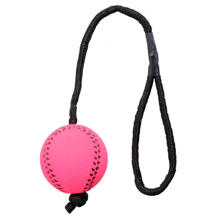 24 Bolas Fluorescentes com Corda - Trixie