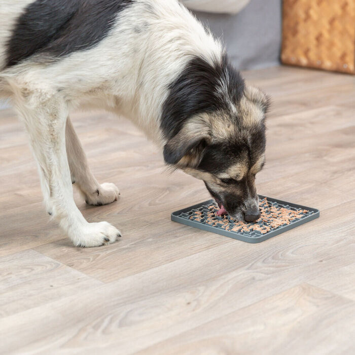 Tapete Lick N Snack em Silicone para Cães - Trixie