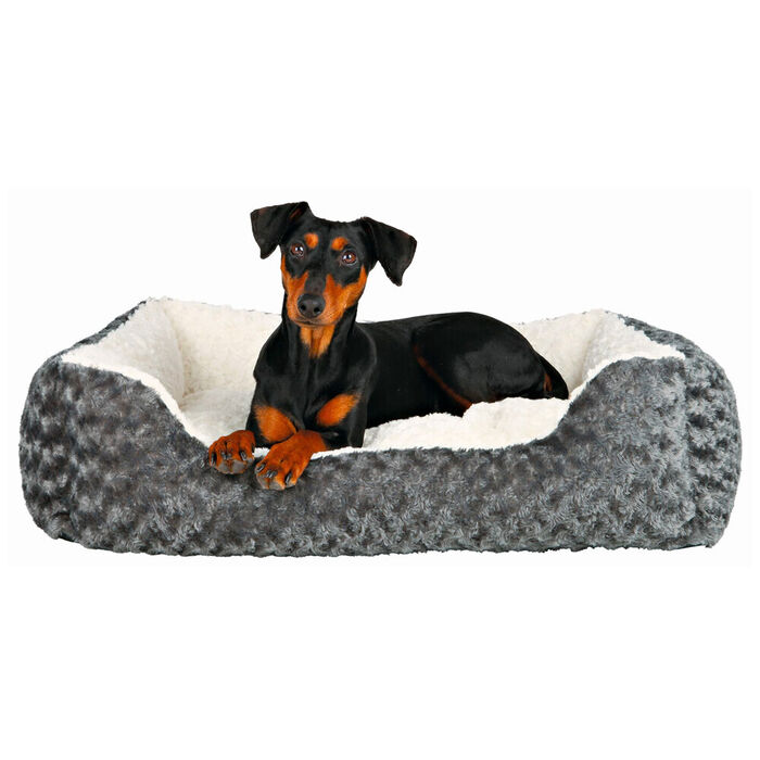 Cama Kaline - Trixie
