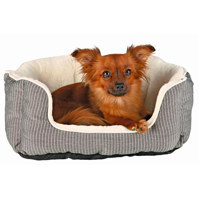 Cama Davin - Trixie