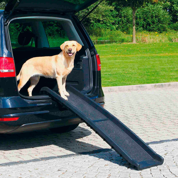 Petwalk - Rampa em Plástico para Acesso Auto - Trixie