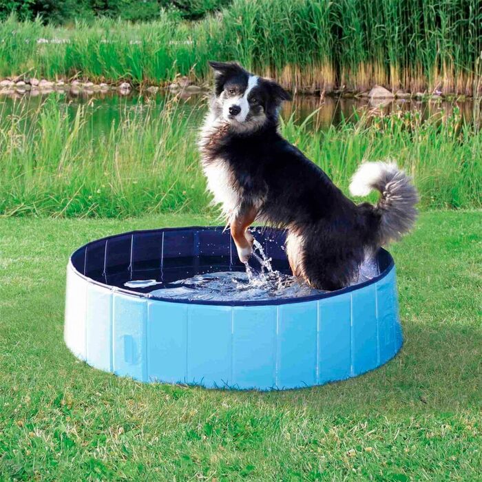 Piscina para Cães - Trixie