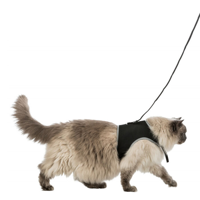 Peitoral e Trela XCat XL para Gatos - Trixie