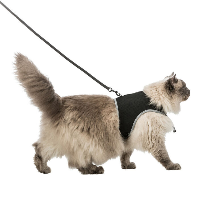 Peitoral e Trela XCat XL para Gatos - Trixie