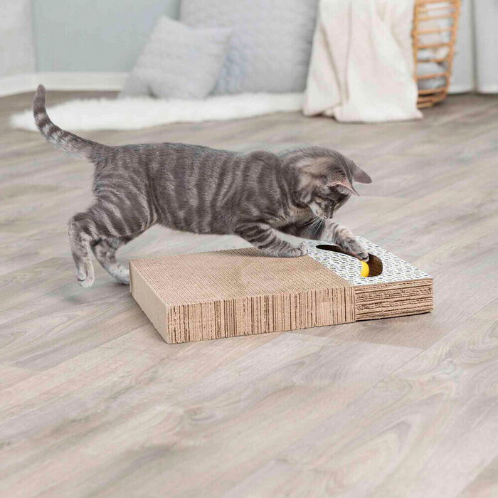 Arranhador em Cartão com Brinquedos e Catnip - Trixie