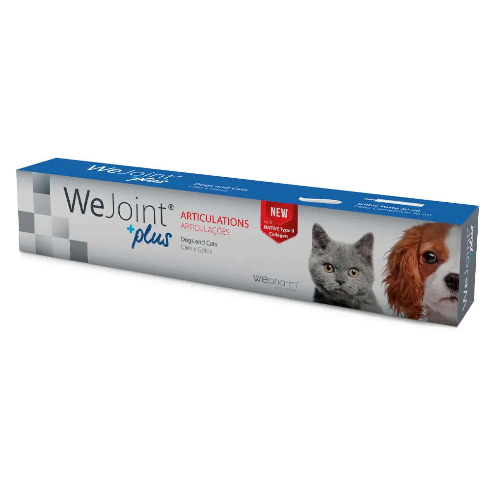 WeJoint Plus Pasta para Cães e Gatos
