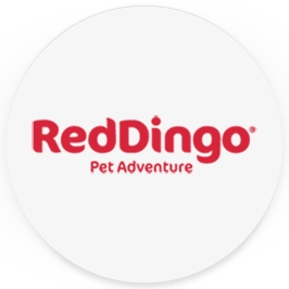 RedDingo