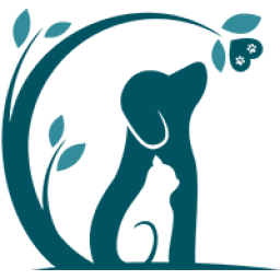 Logo de DreamPet