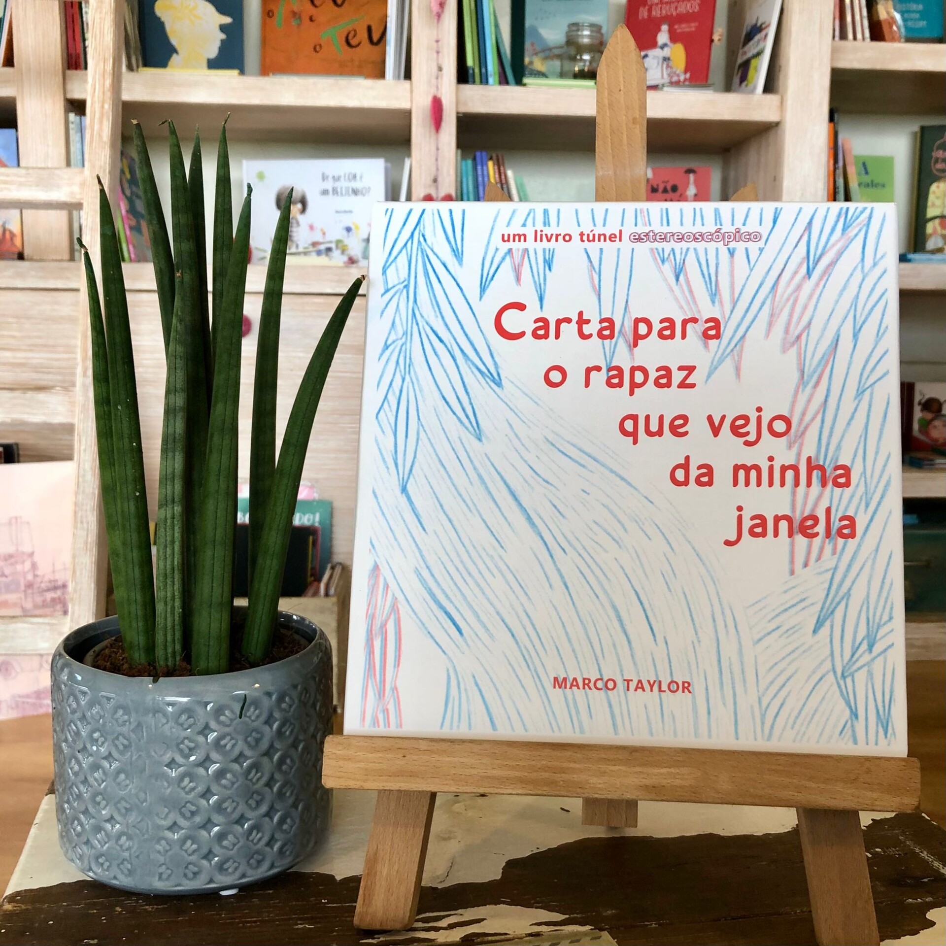 Carta para o rapaz que vejo da minha janela