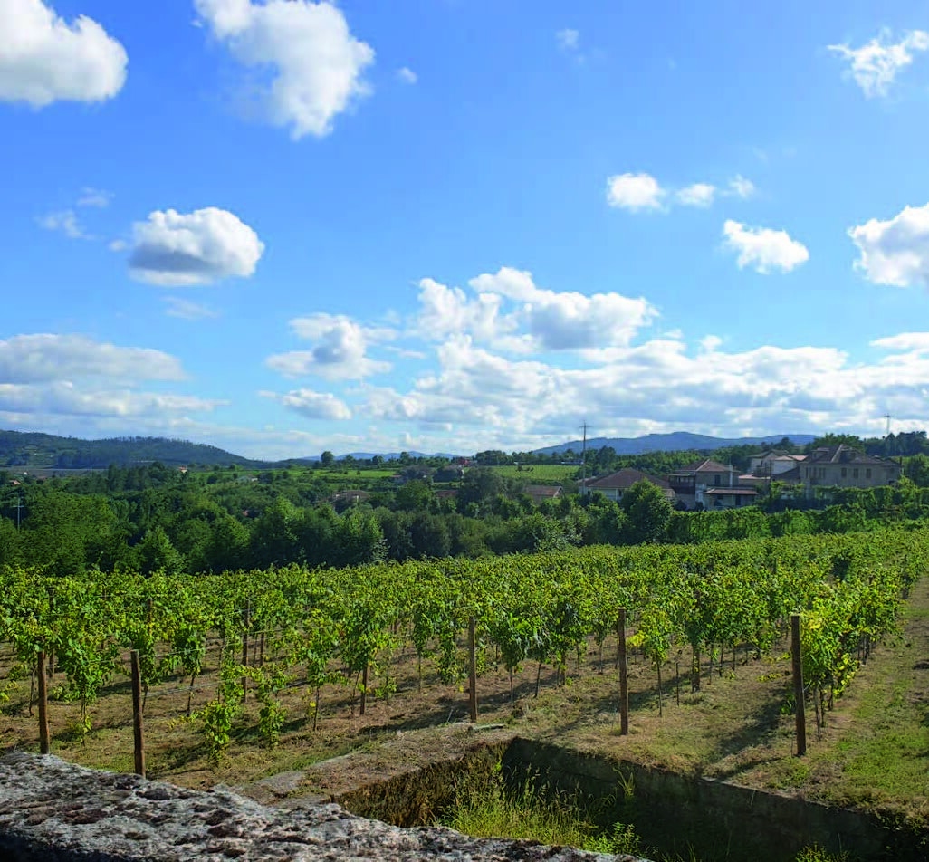 website image
