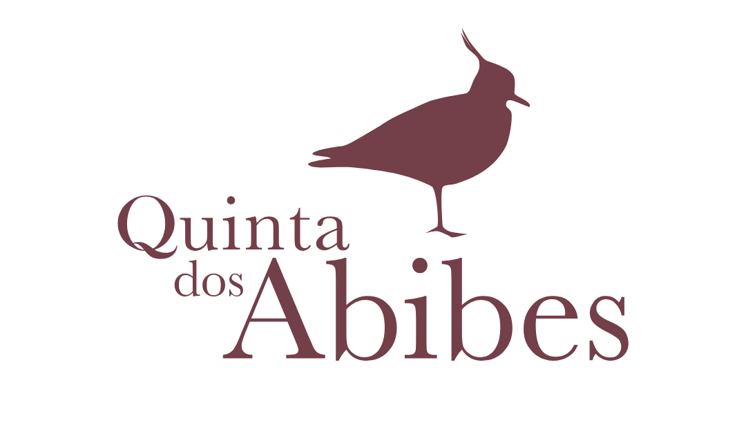 Quinta+dos+Abibes+