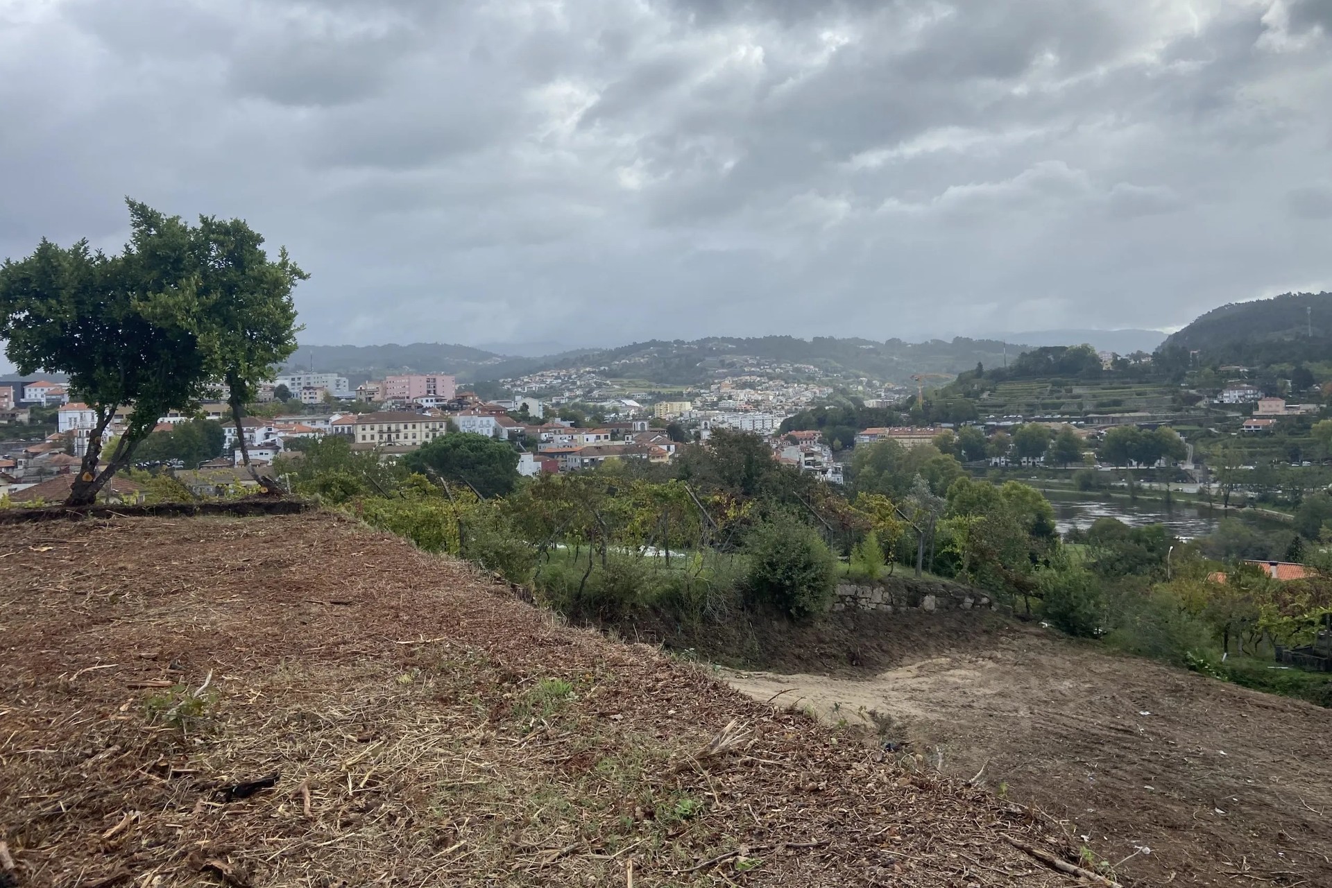 Terreno - Amarante