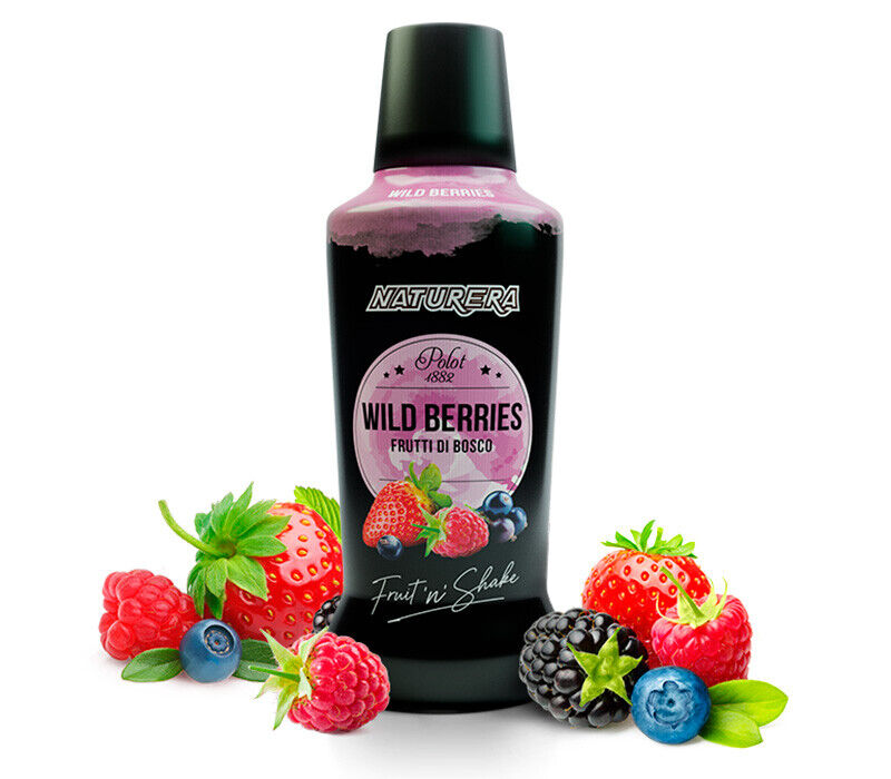 Fruit & Shake Polot 1882 Frutos do Bosque