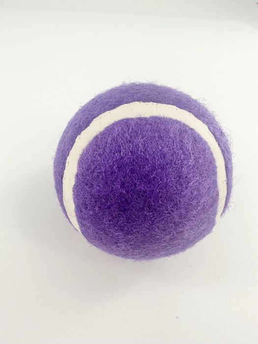 Bola de Pet Saltitante e Luminescente à Noite (2 unid.) (Roxo Escuro)