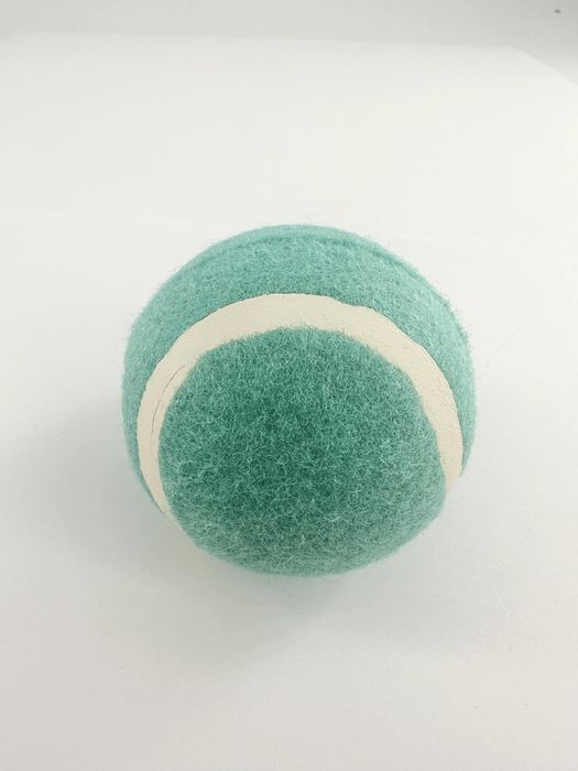 Bola de Pet Saltitante e Luminescente à Noite (2 unid.) (Verde Azulado)