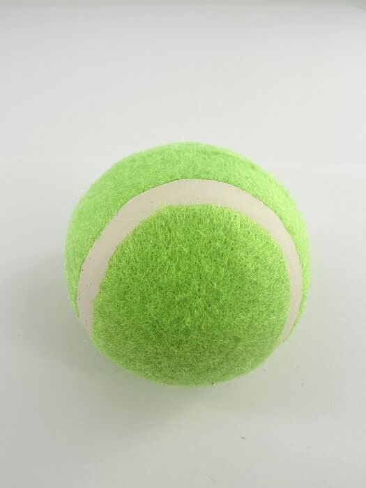 Bola de Pet Saltitante e Luminescente à Noite (2 unid.) (Verde Fluorescente)