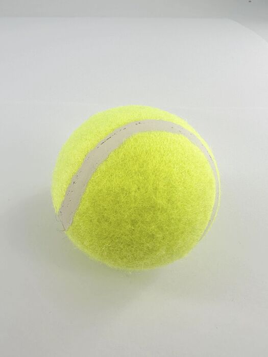 Bola de Pet Saltitante e Luminescente à Noite (2 unid.) (Amarelo Fluorescente)