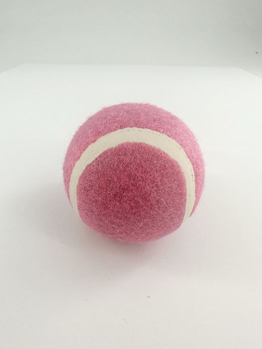 Bola de Pet Saltitante e Luminescente à Noite (2 unid.) (Rosa)