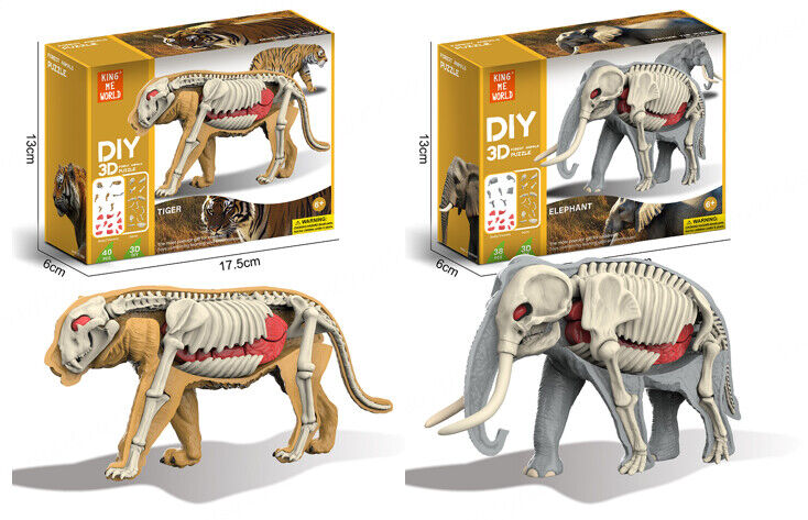 Brinquedos de Anatomia Animal (Animais Selvagens)