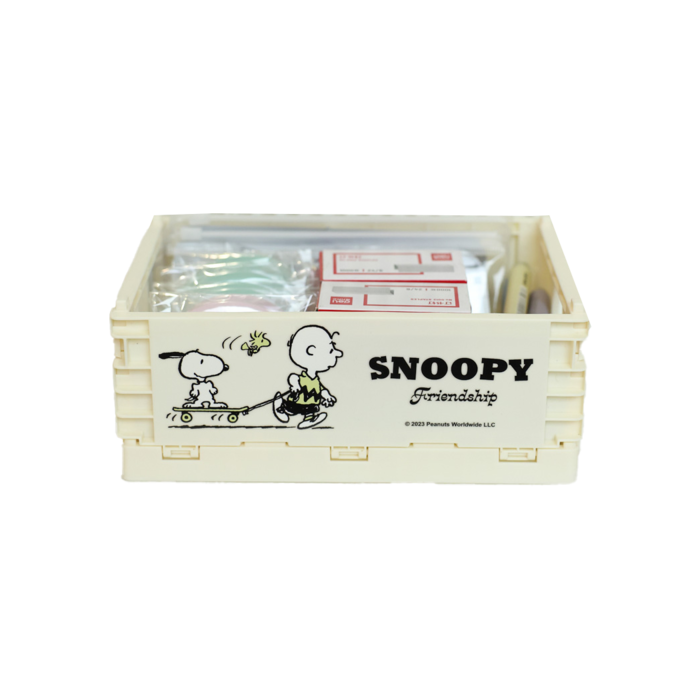 Snoopy - Caixa de Armazenamento 