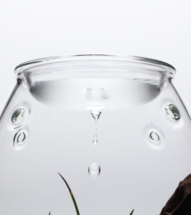Glass Pot SHIZUKU