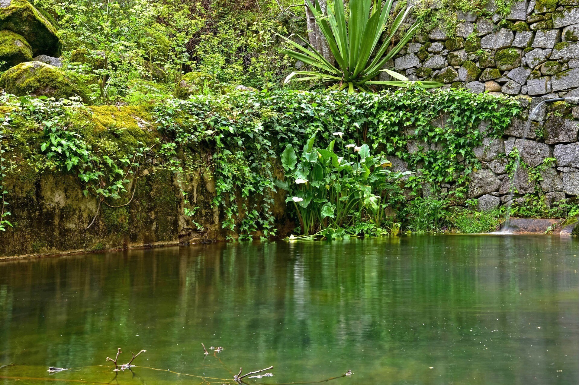 website image