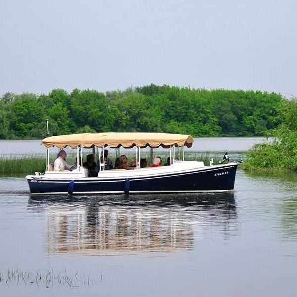 website image