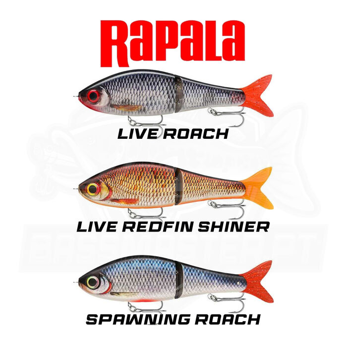 Rapala Super Shadow Rap Glide110