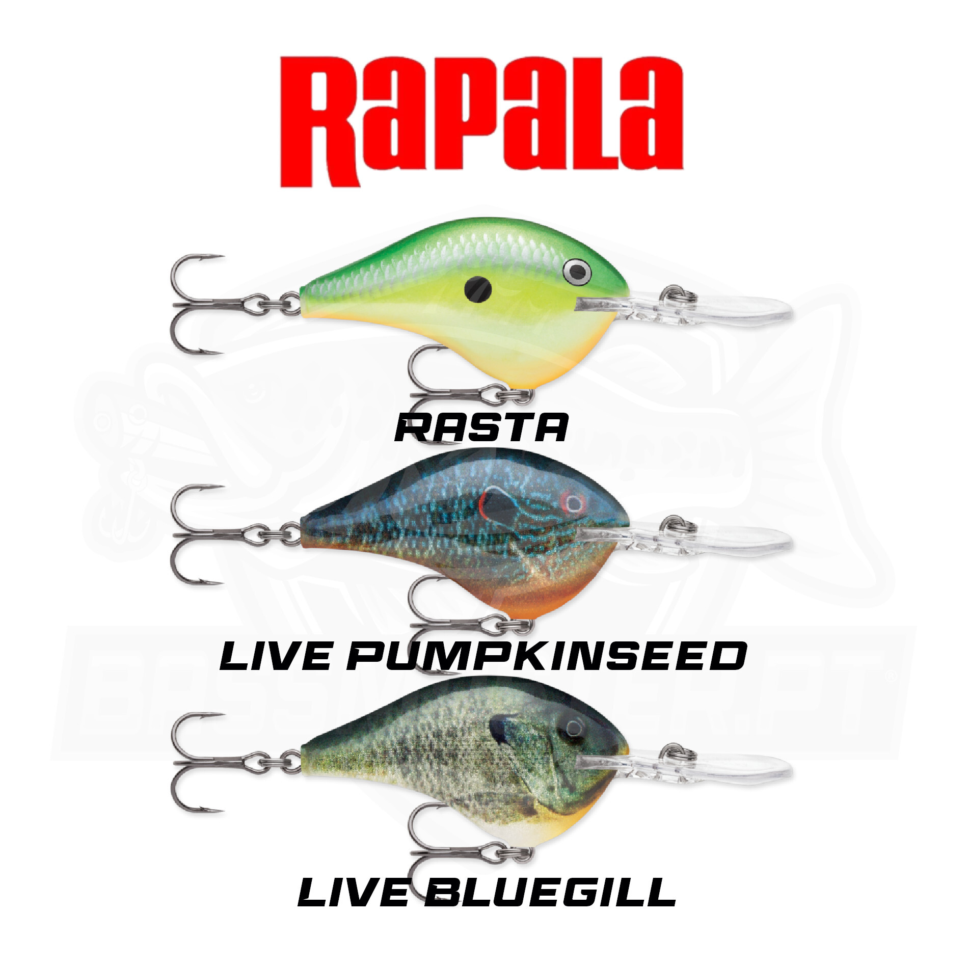 Rapala DT16 Crankbait – Leurre Plongeant 2 3/4" Pour Bass – Neuf