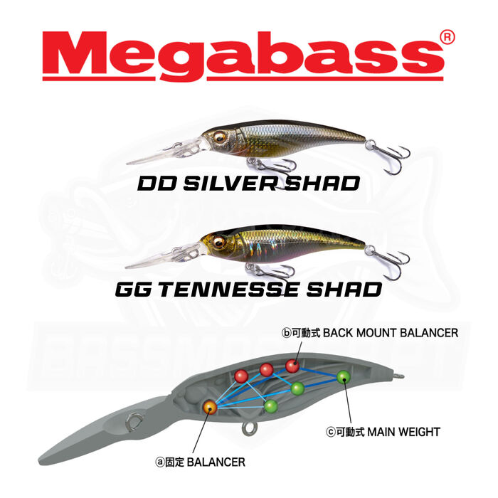 MegaBass Shading-X R 62