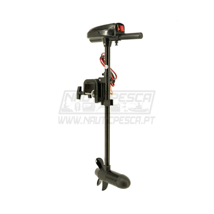 Raptor Motor 12V 18lb