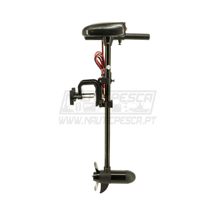 Raptor Motor 12V 18lb