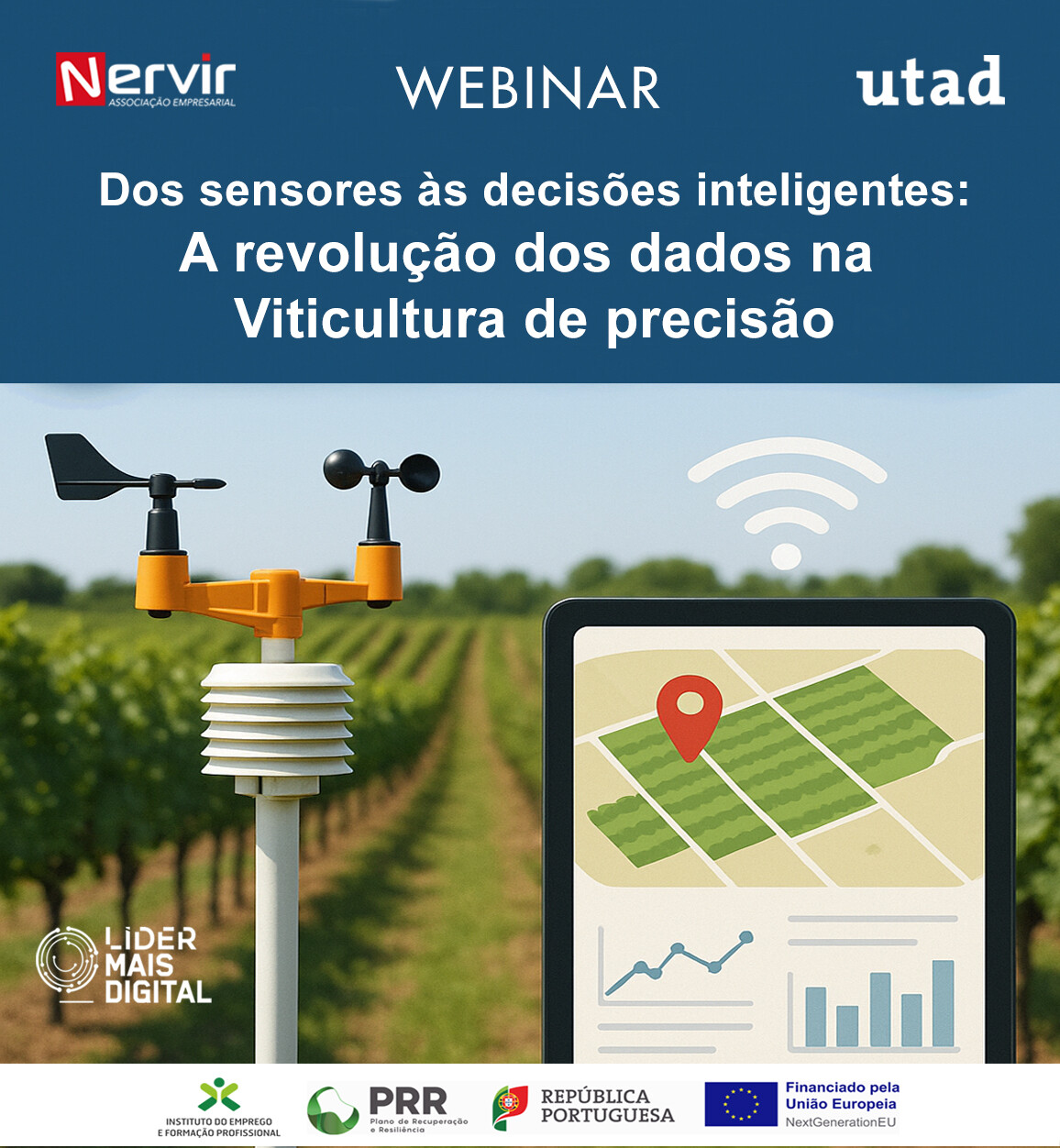 website image