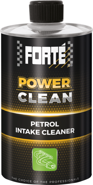 Limpeza  Admissão de Gasolina Forté Power