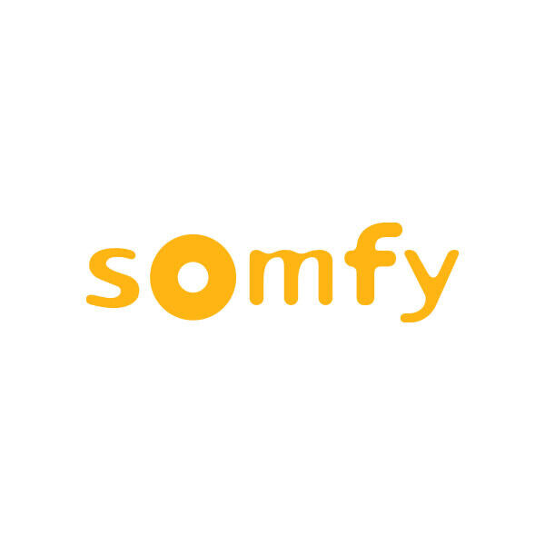 Somfy DEXXO SMART IO 1000N | Automazione per Porta da Garage