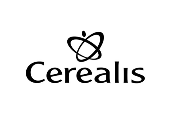 website image