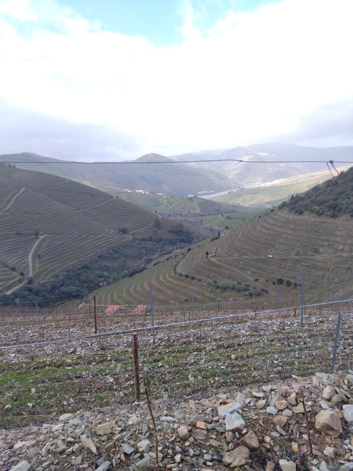 website image