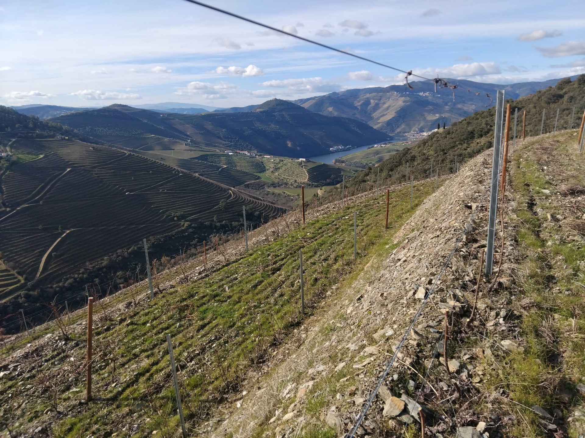 website image