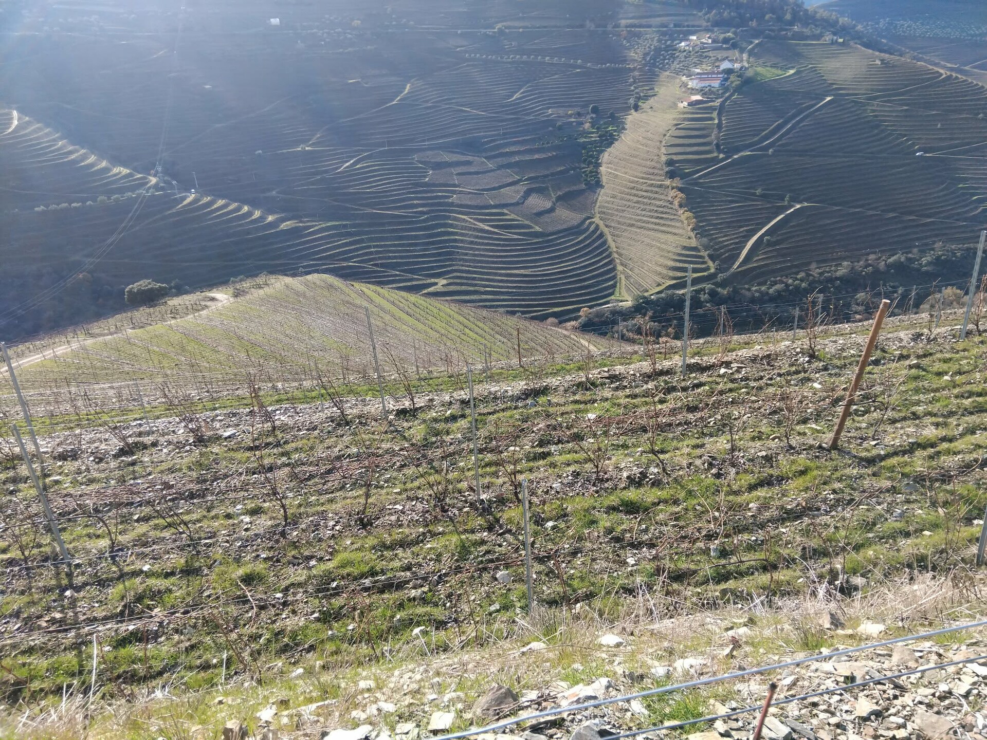 website image