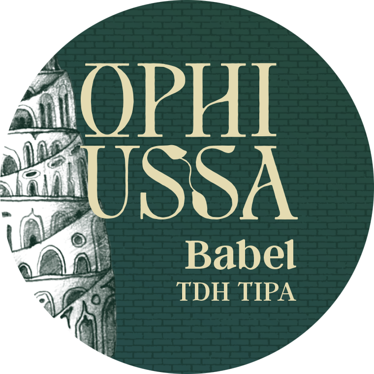 website image