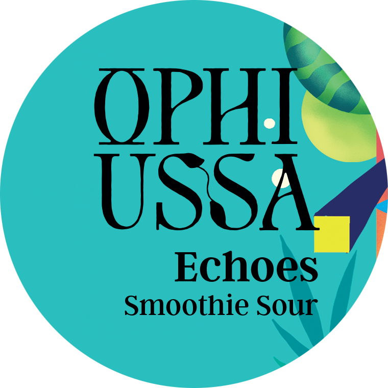 website image