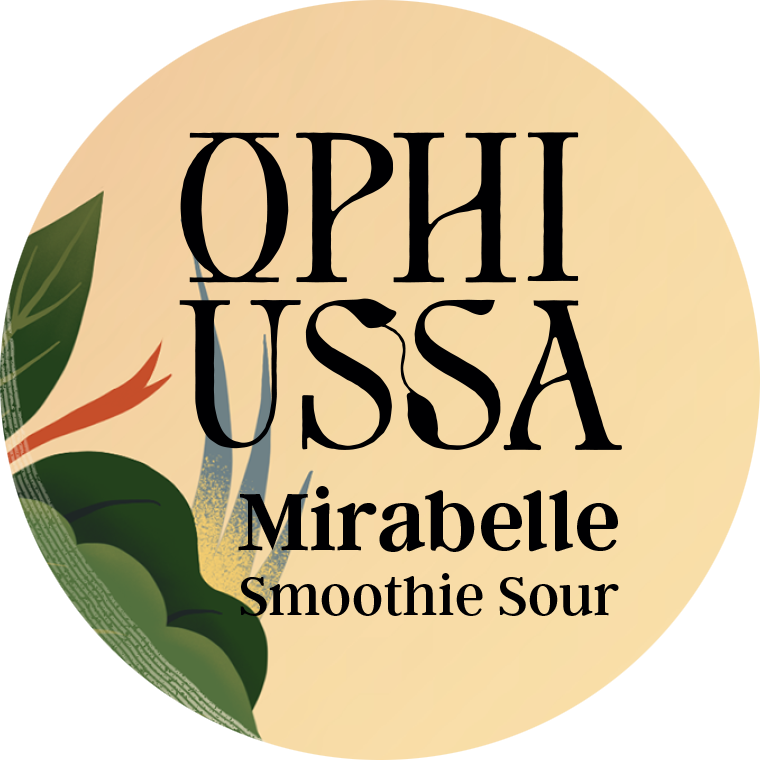 website image