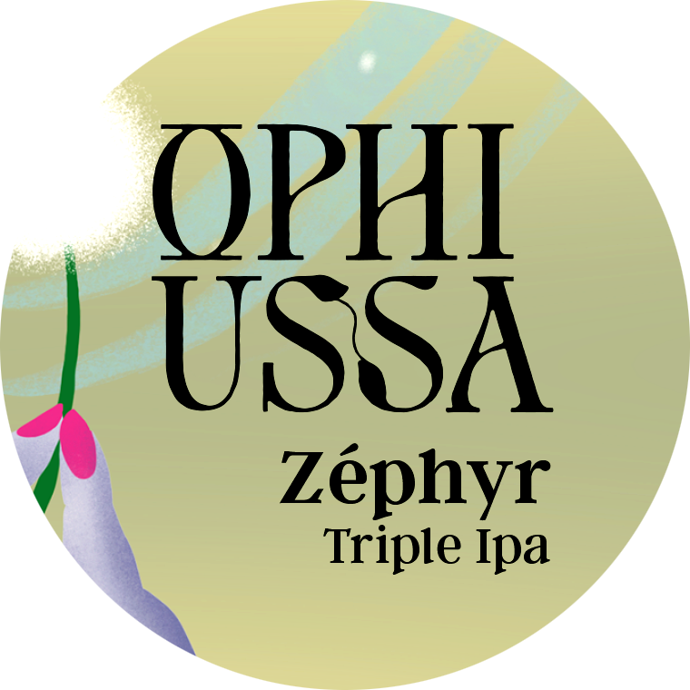 website image