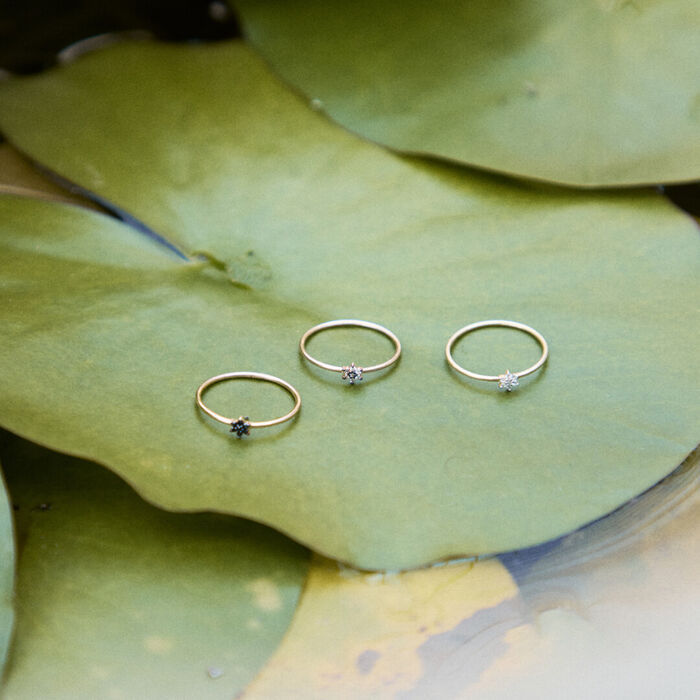 Três anéis LECARRÉ em ouro amarelo e rosa, com diamantes brancos e negros, pousados sob folha verde.