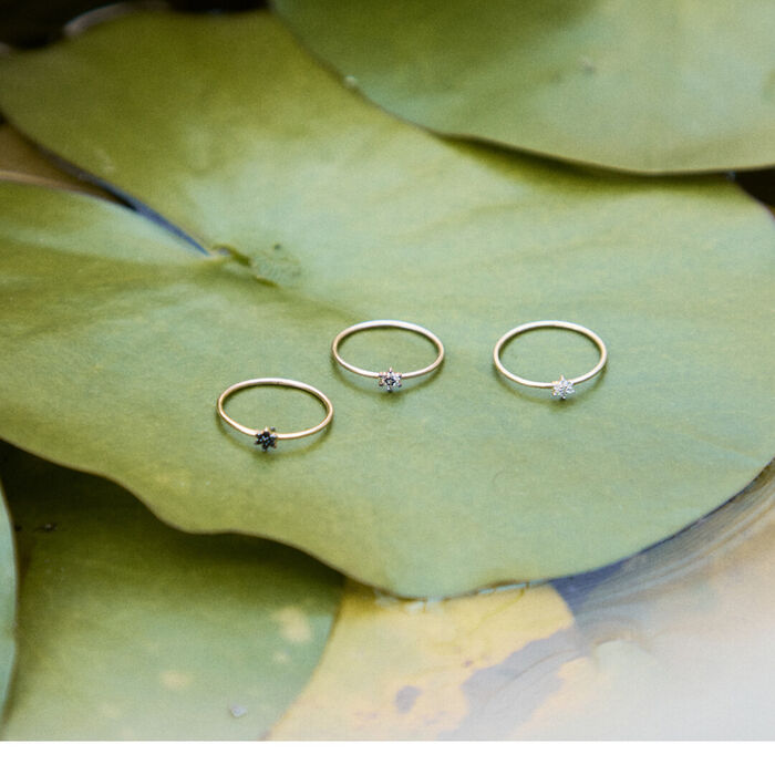 Imagem de três anéis em ouro amarelo e rose gold, com diamantes em forma de flor, sob folha verde.