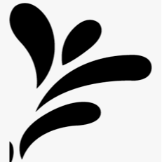 website image