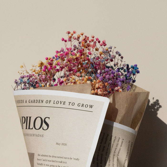 EDIÇÃO ESPECIAL: RAMO COLORIDO DE GYPSOPHILA 