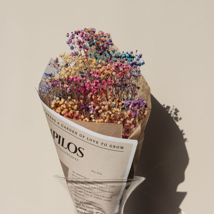 EDIÇÃO ESPECIAL: RAMO COLORIDO DE GYPSOPHILA 